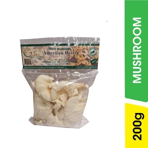 Oyster Mushrooms